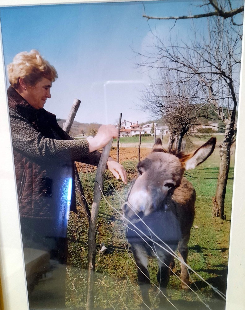 Irena s magarcima koji su već dugo godina simbol ovog agroturizma (Snimio Anđelo Dagostin)